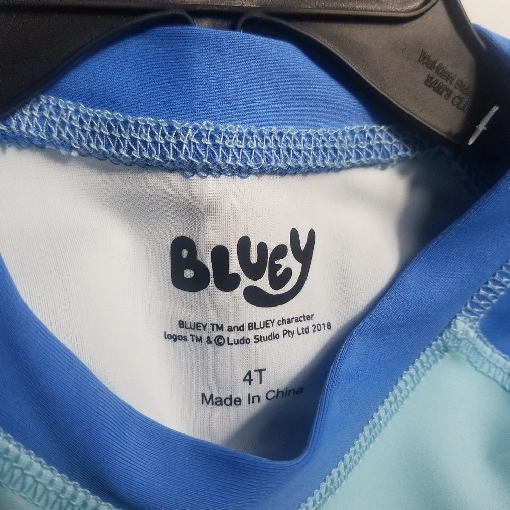 NWT BLUEY KIDS SWIM LONG SLEEVE SHIRT AND SHORT SET 50+ UPF SIZE 4T